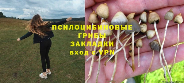 эйфоретик Семикаракорск