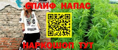 mdpv Обнинск