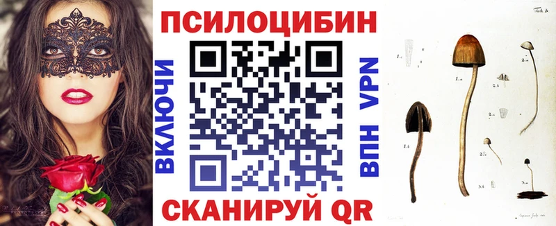 сколько стоит  Кондопога  Псилоцибиновые грибы мицелий 