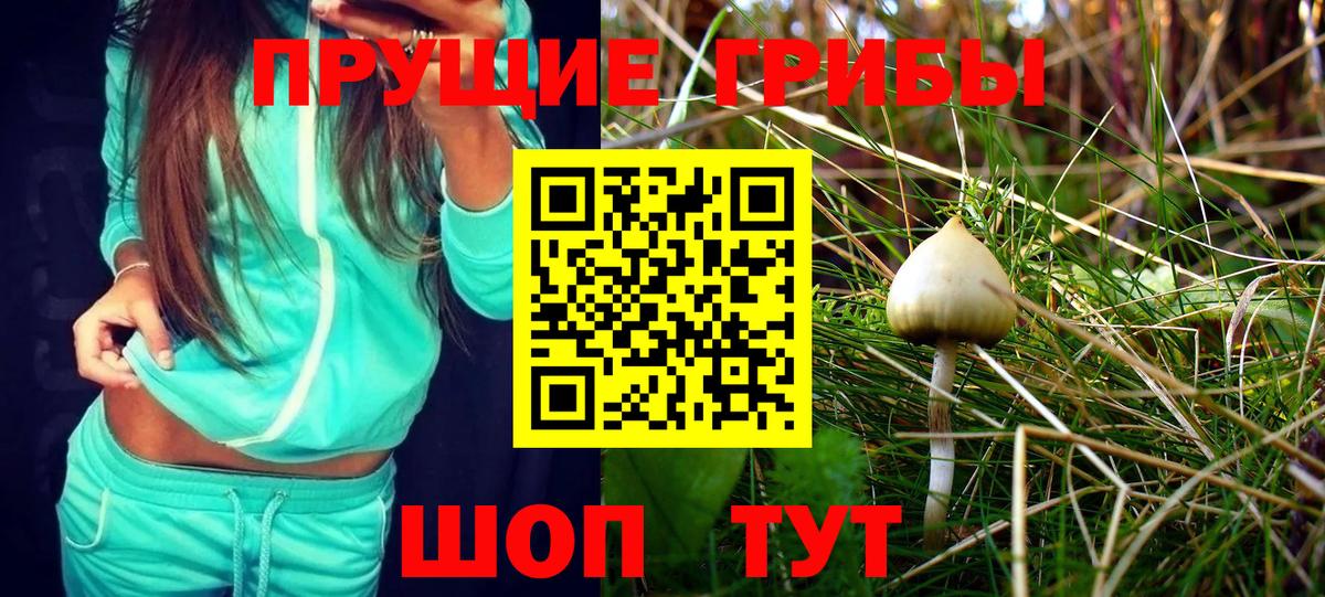 Галлюциногенные грибы Cubensis Кондопога