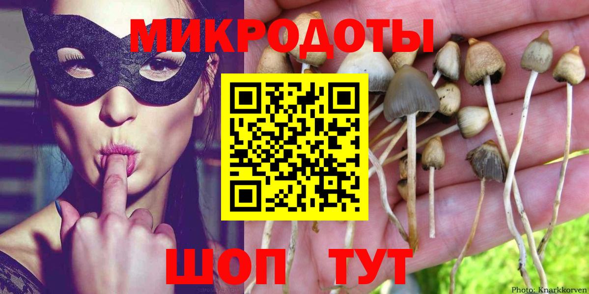 Псилоцибиновые грибы прущие грибы  Вход с VPN  Кондопога  Псилоцибиновые грибы прущие грибы 