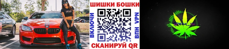 Шишки марихуана конопля  Кондопога 
