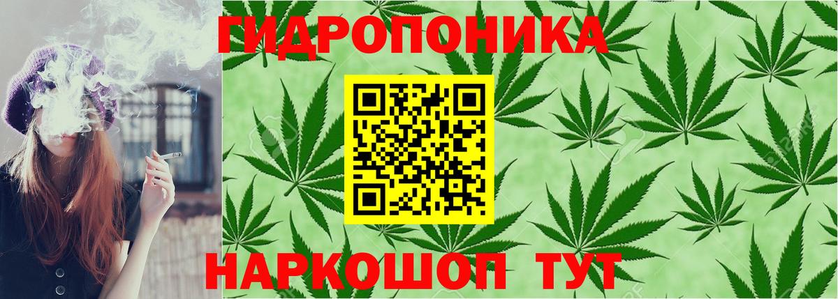 Бошки марихуана THC 21% Кондопога